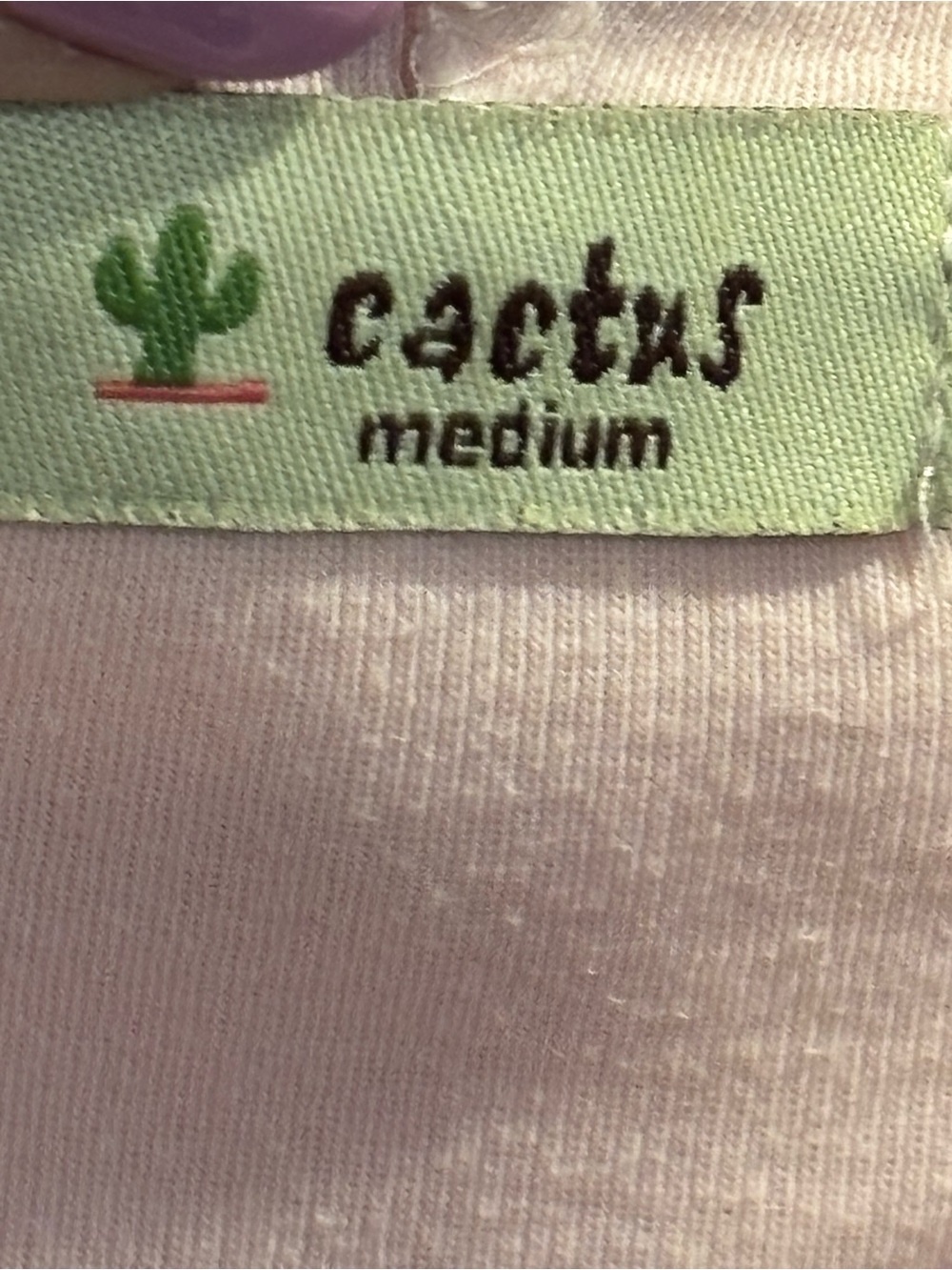 Cactus Pink Graphic Zip-Up Hoodie - Picture 4 of 6
